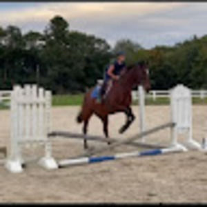 Meet your Posher, Jess